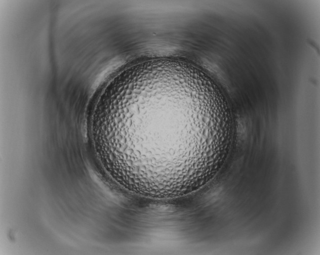 X0000103500582200809191947