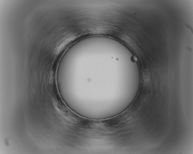 X0000103500583200809191947