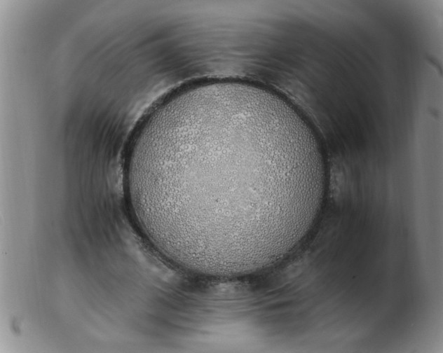 X0000103500584200809191947