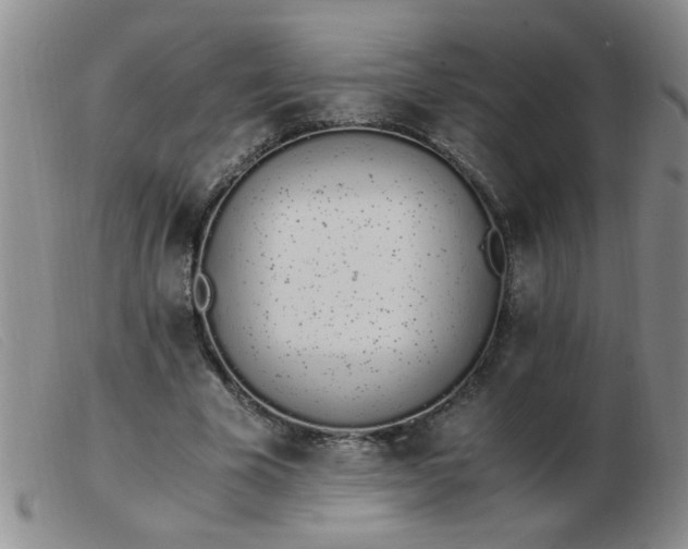 X0000103500585200809191947