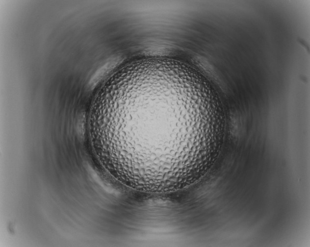 X0000103500586200809191947