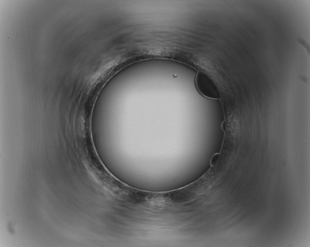 X0000103500587200809191947