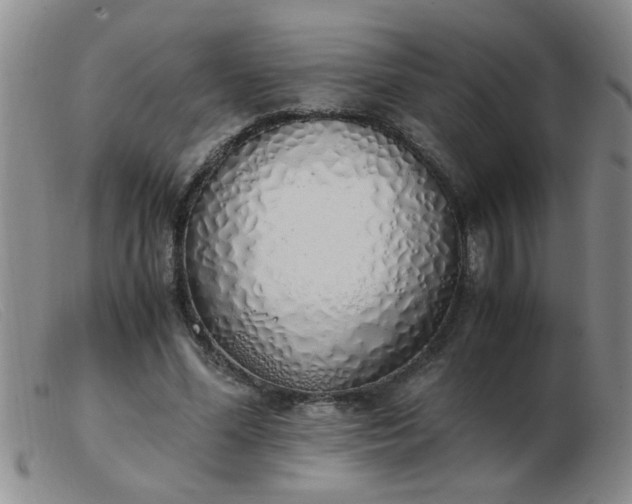 X0000103500588200809191947