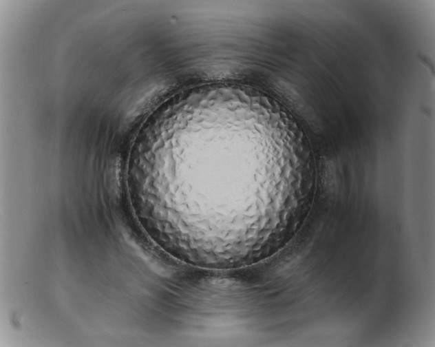 X0000103500590200809191947