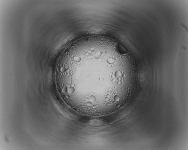 X0000103500591200809191947