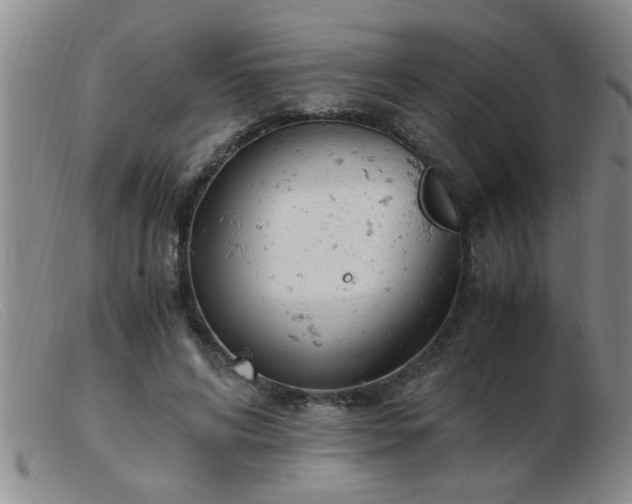 X0000103500592200809191947