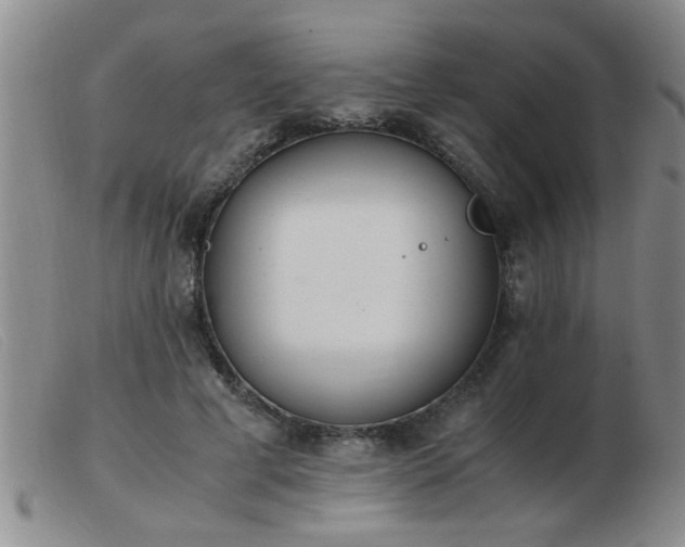 X0000103500593200809191947