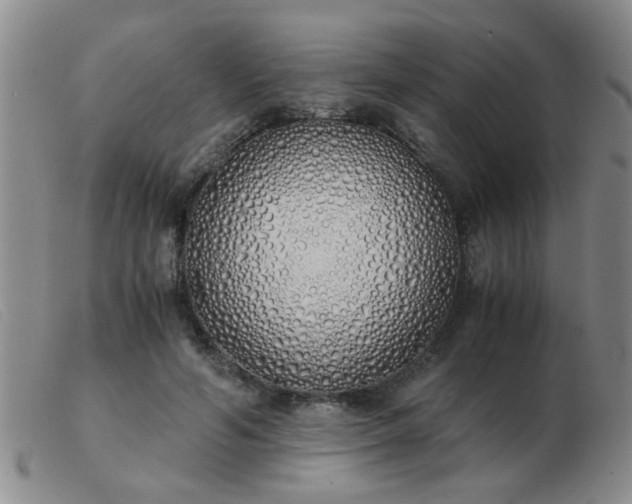 X0000103500594200809191947