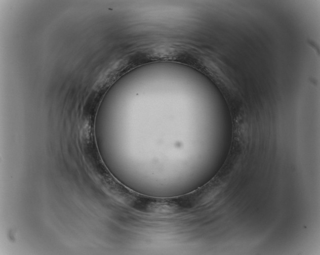 X0000103500597200809191947