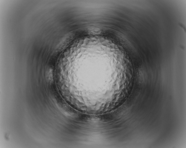 X0000103500598200809191947