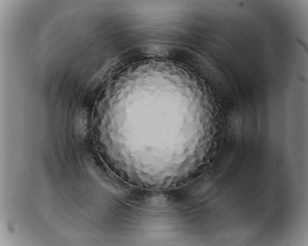 X0000103500600200809191947