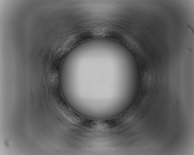 X0000103500601200809191947