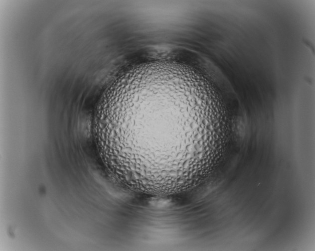 X0000103500602200809191947