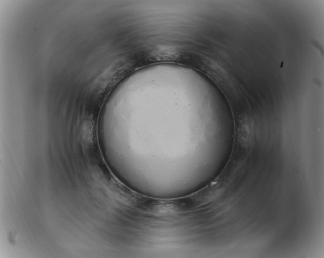 X0000103500604200809191947