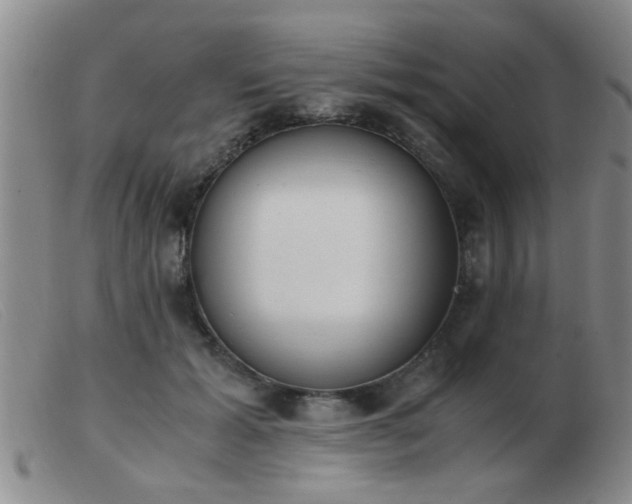 X0000103500605200809191947