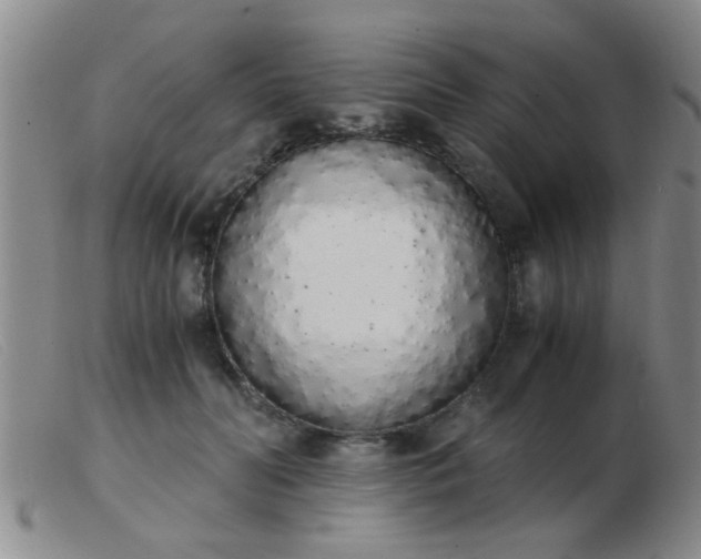 X0000103500606200809191947