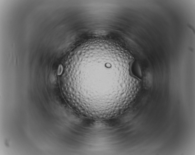 X0000103500608200809191947