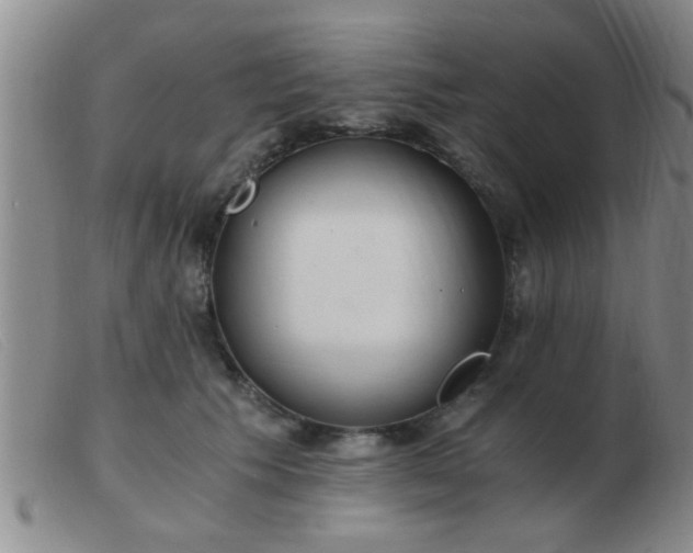 X0000103500609200809191947