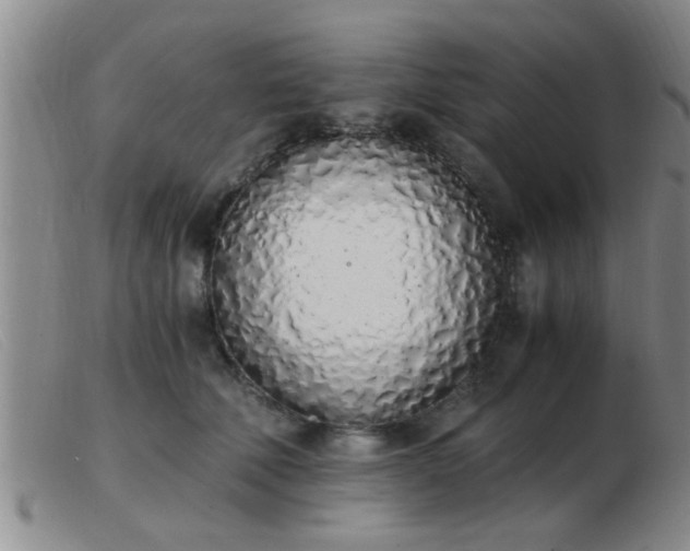 X0000103500610200809191947