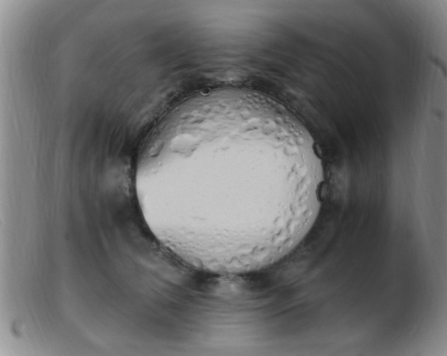 X0000103500612200809191947