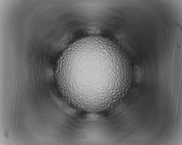 X0000103500614200809191947