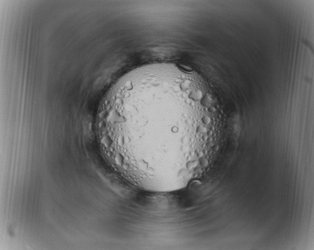 X0000103500615200809191947