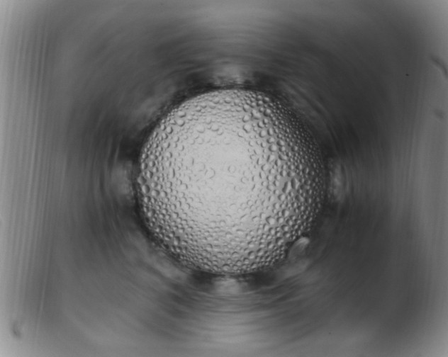 X0000103500616200809191947