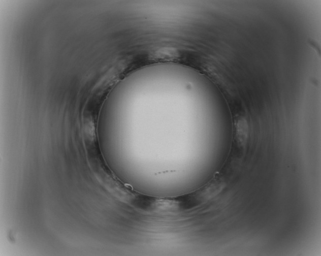 X0000103500617200809191947