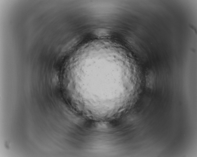 X0000103500618200809191947