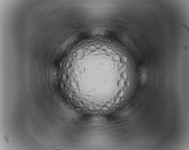 X0000103500619200809191947