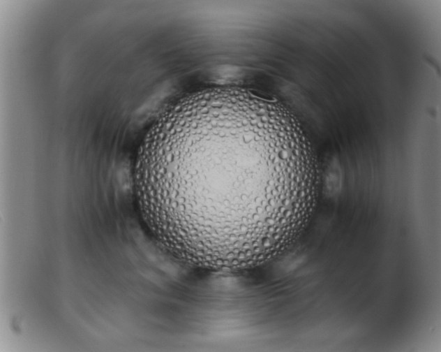 X0000103500620200809191947