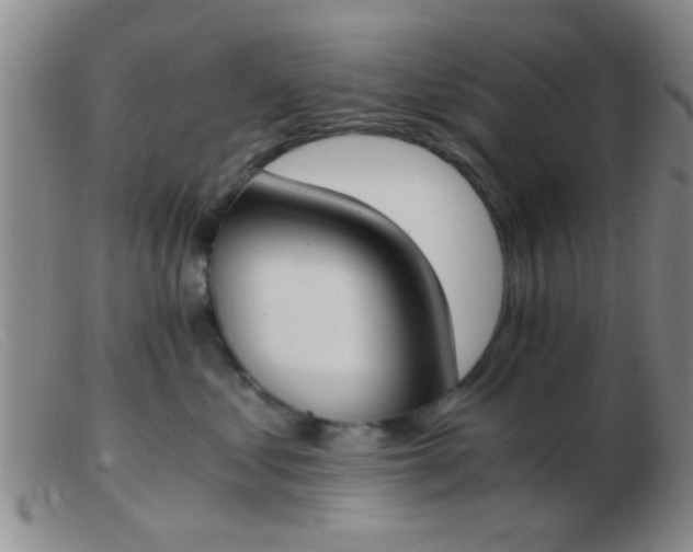 X0000103500621200809191947