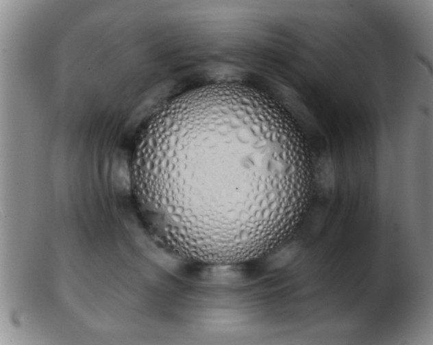 X0000103500622200809191947