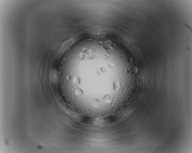 X0000103500623200809191947