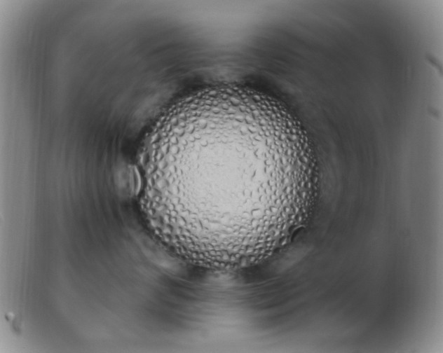 X0000103500624200809191947