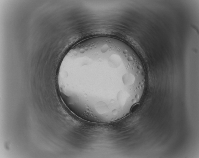 X0000103500625200809191946