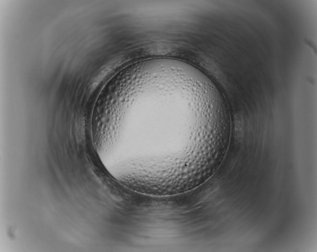 X0000103500626200809191946