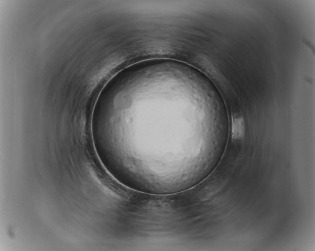 X0000103500627200809191946