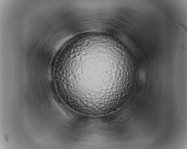 X0000103500628200809191946