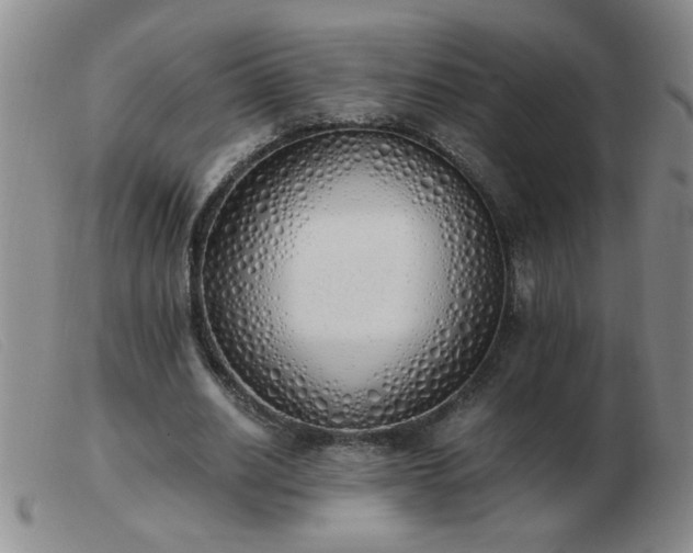 X0000103500630200809191946