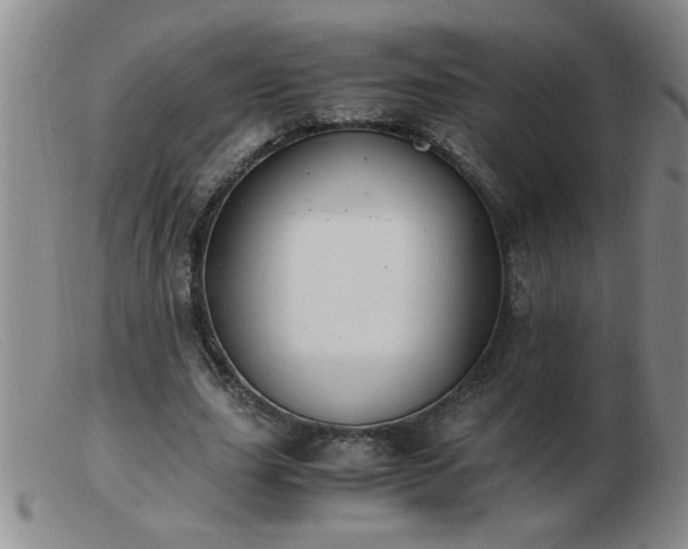 X0000103500631200809191946