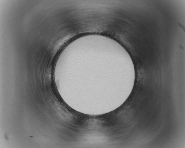 X0000103500632200809191946