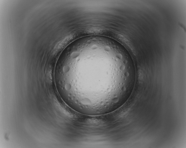 X0000103500633200809191946