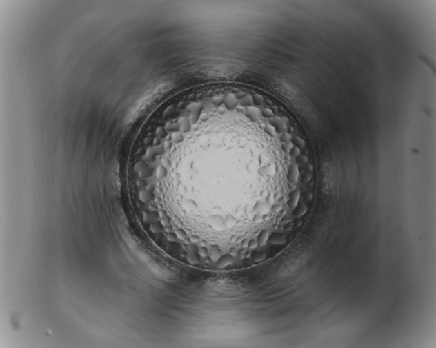 X0000103500634200809191946