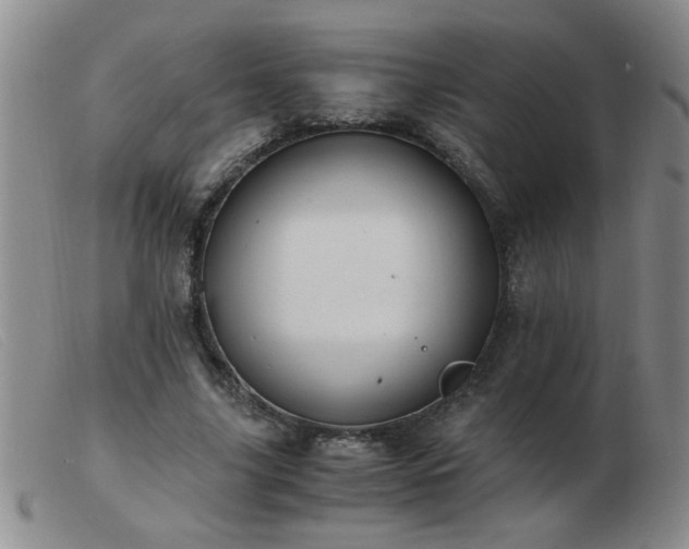 X0000103500635200809191946