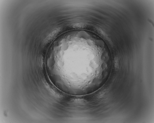 X0000103500637200809191946