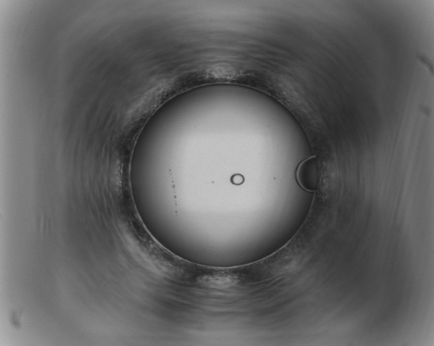 X0000103500639200809191946