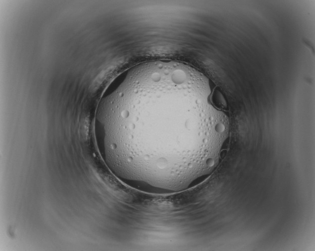 X0000103500640200809191946