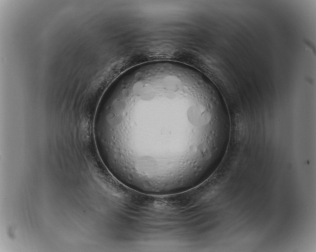 X0000103500641200809191946