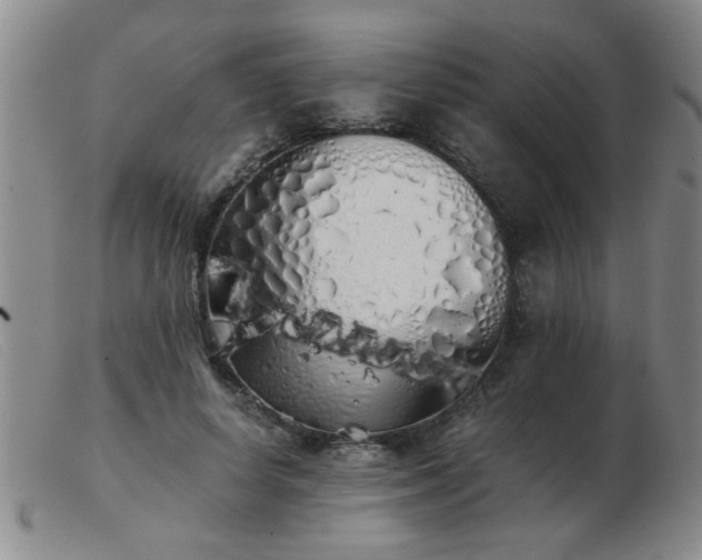 X0000103500642200809191946